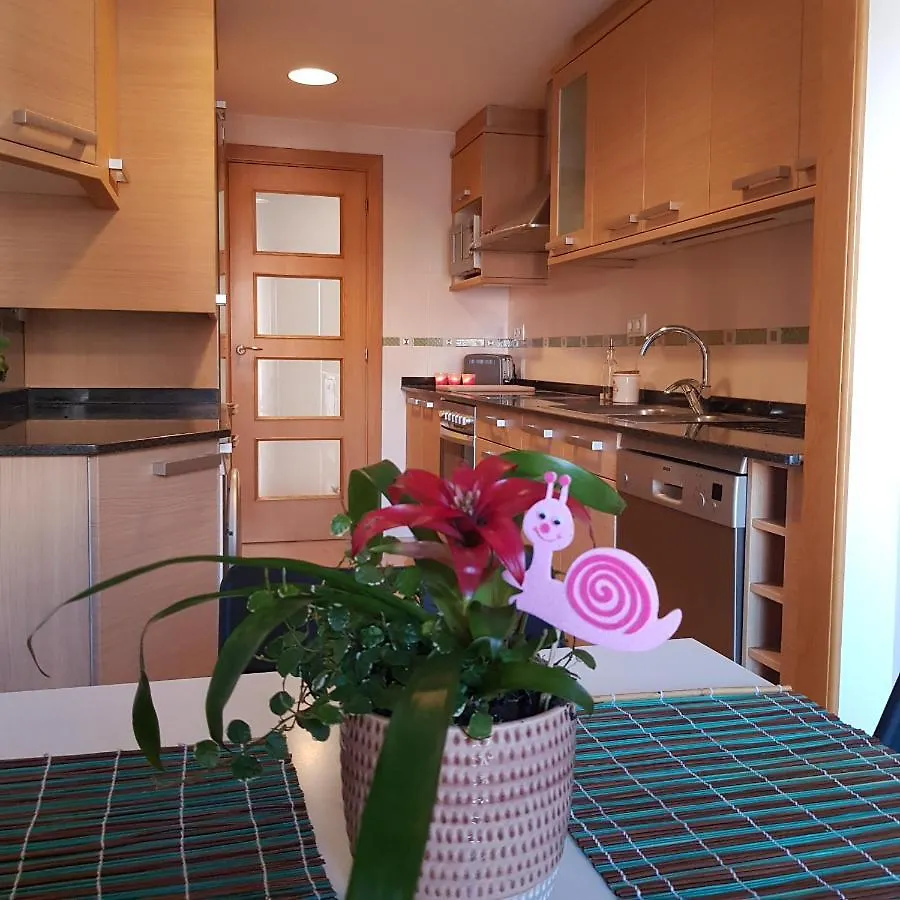 Cal Sole Tremp Apartment 0*,